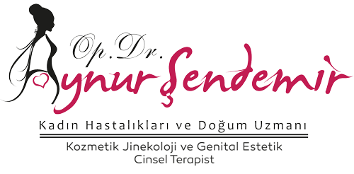 aynur-sendemir-logo