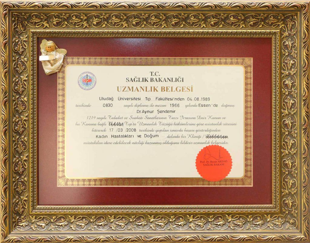 Aynur Şendemir sertifika